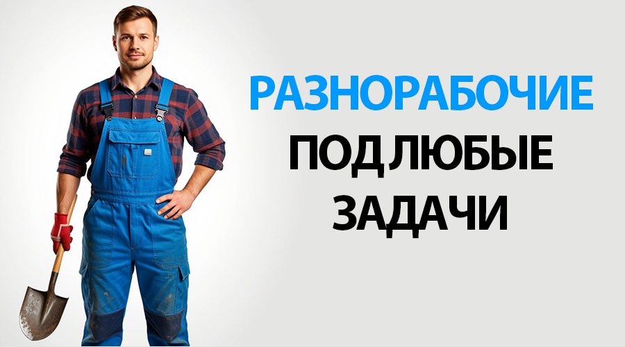 Разнорабочие